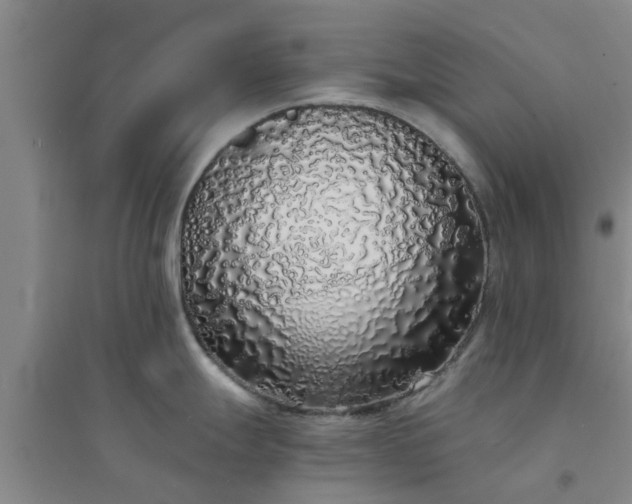X0000094321247200711091334