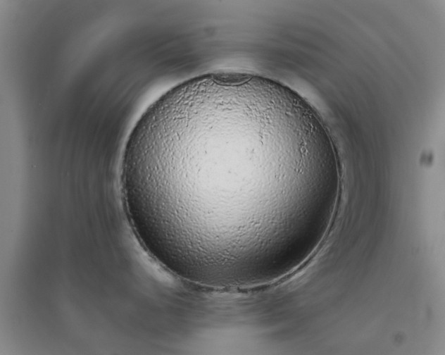 X0000094321248200711091334