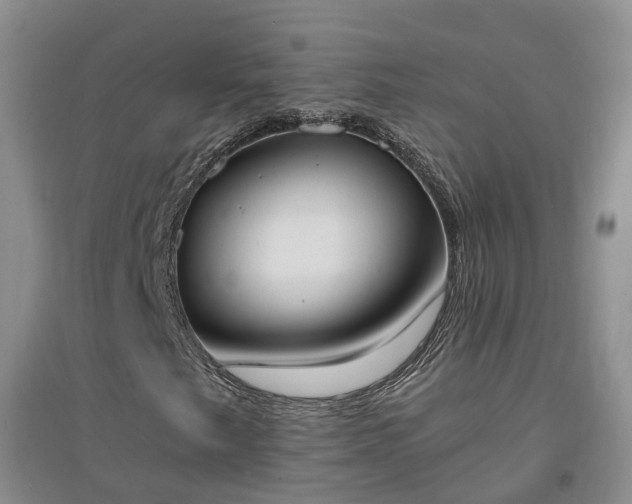 X0000094321249200711091333