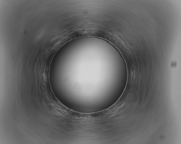X0000094321250200711091333