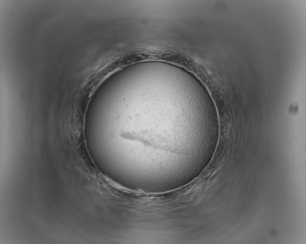 X0000094321253200711091333