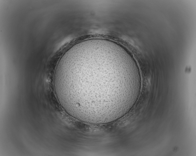 X0000094321254200711091333