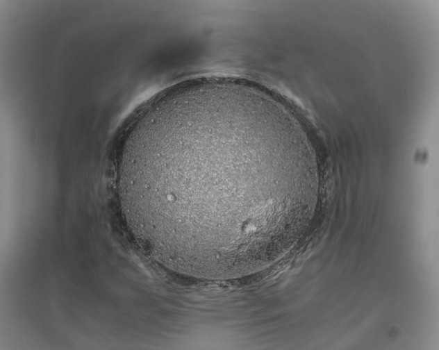 X0000094321255200711091333