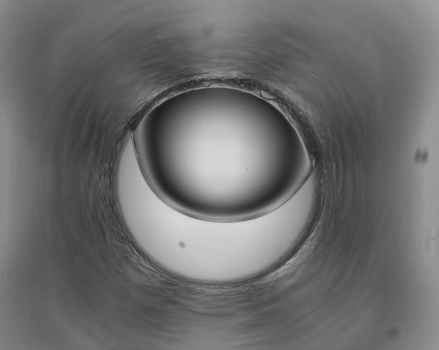 X0000094321257200711091333