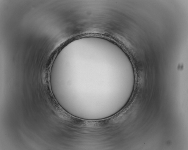 X0000094321258200711091333