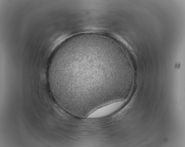 X0000094321259200711091333