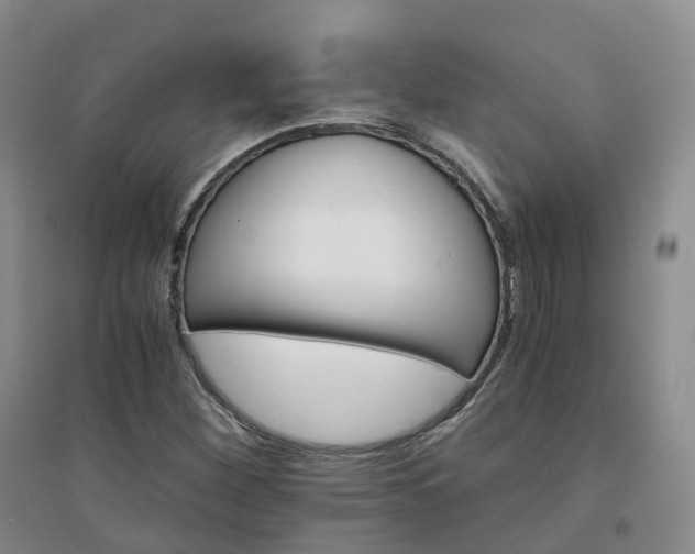 X0000094321260200711091333