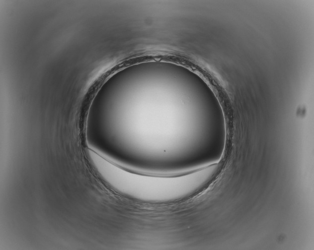 X0000094321261200711091333