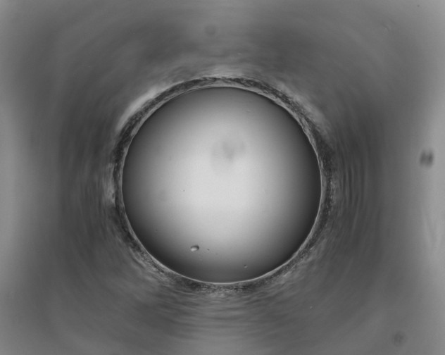 X0000094321262200711091333