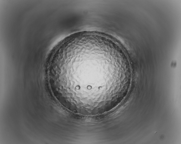 X0000094321263200711091333