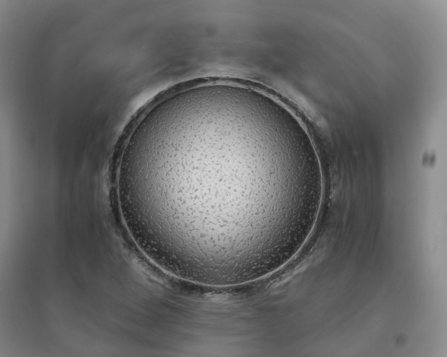 X0000094321264200711091333
