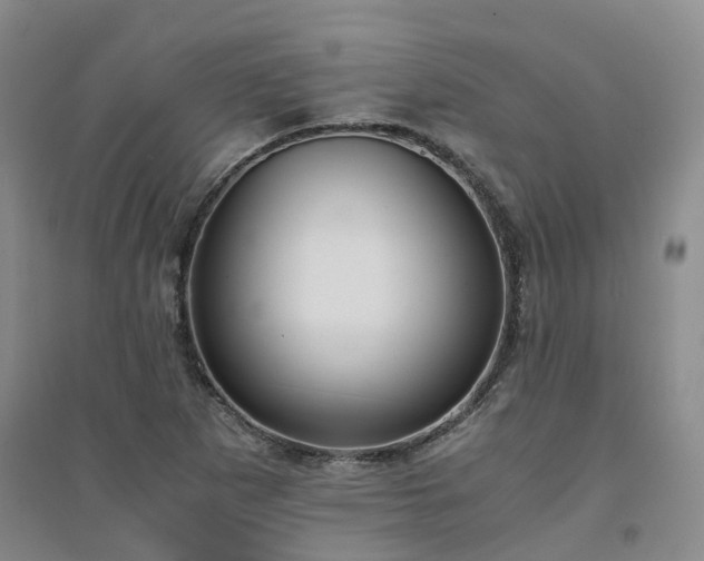 X0000094321265200711091333