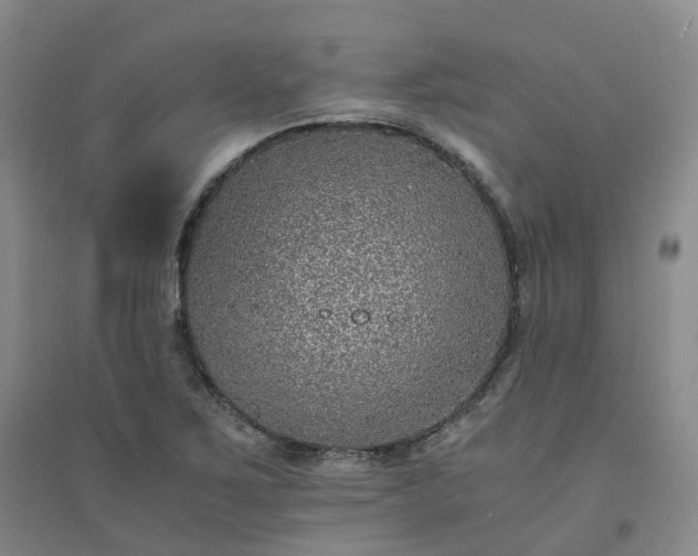 X0000094321267200711091333