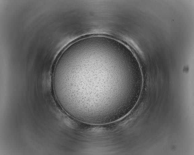 X0000094321268200711091333