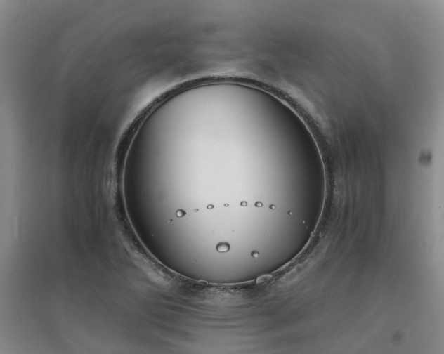 X0000094321270200711091333