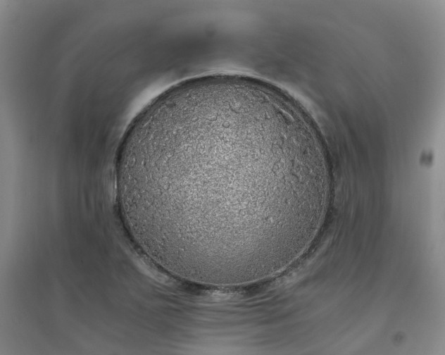 X0000094321271200711091333