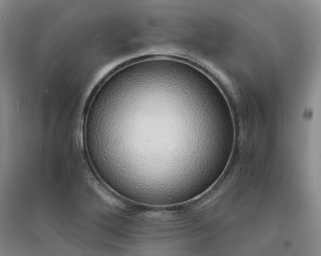 X0000094321272200711091333