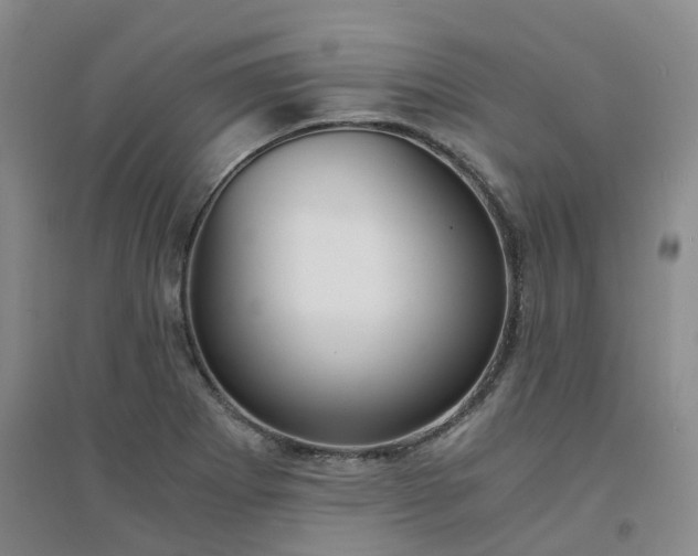 X0000094321273200711091333