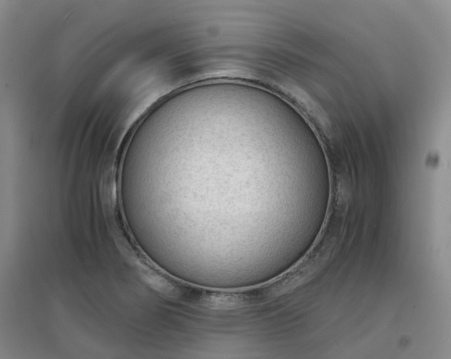 X0000094321274200711091333