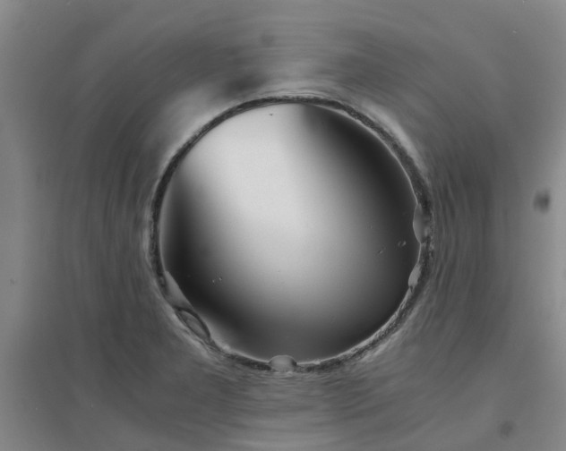 X0000094321277200711091333