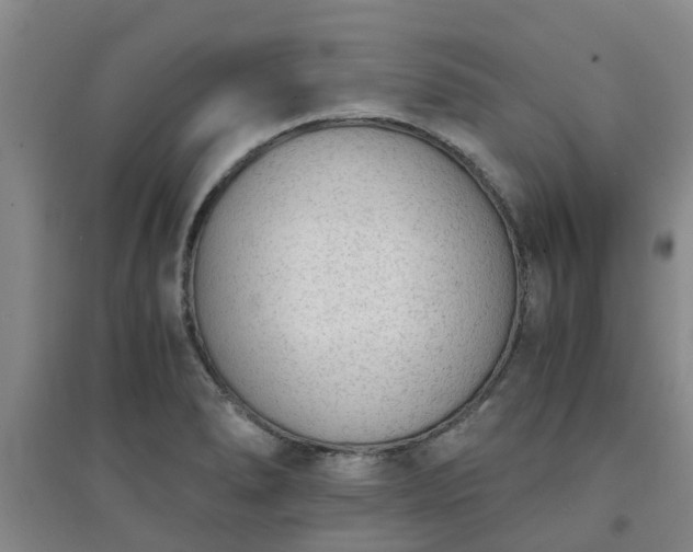 X0000094321278200711091333