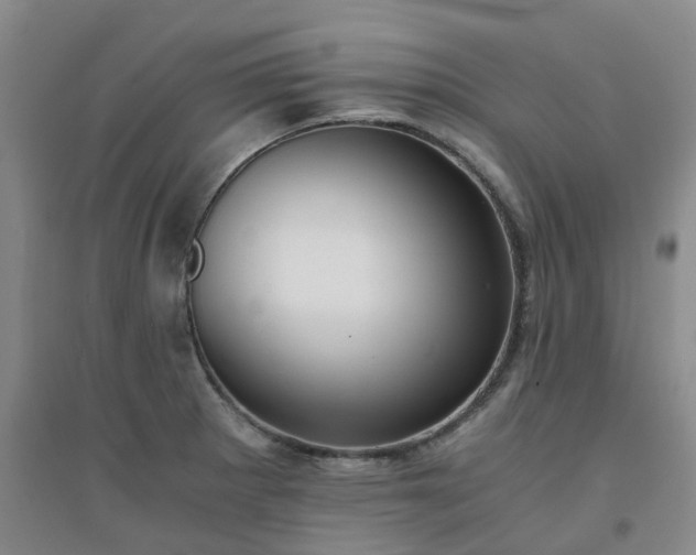 X0000094321281200711091333