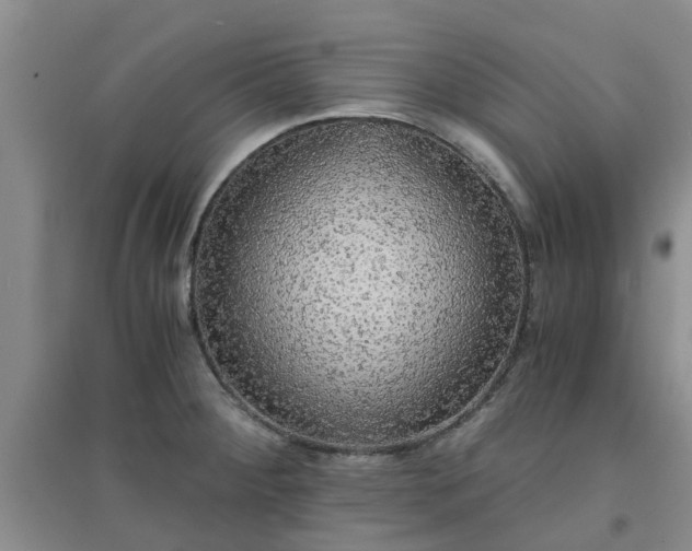 X0000094321284200711091333