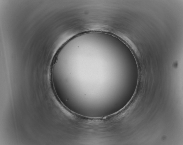 X0000094321285200711091333