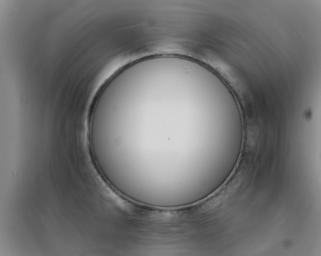 X0000094321286200711091333