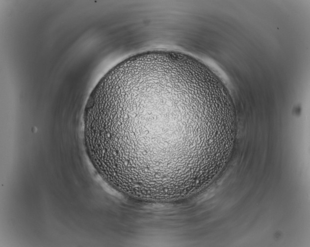 X0000094321287200711091333