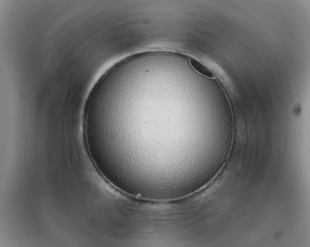 X0000094321288200711091333