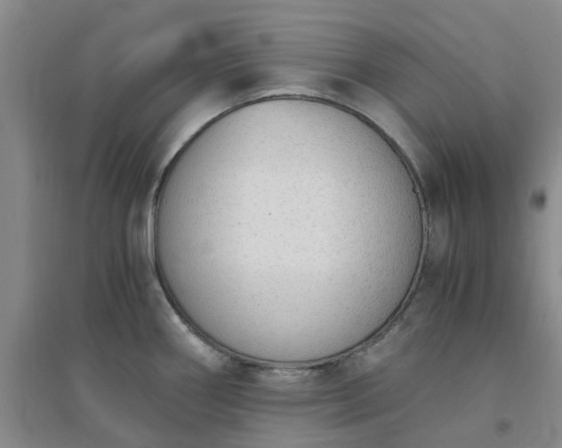 X0000094321290200711091333