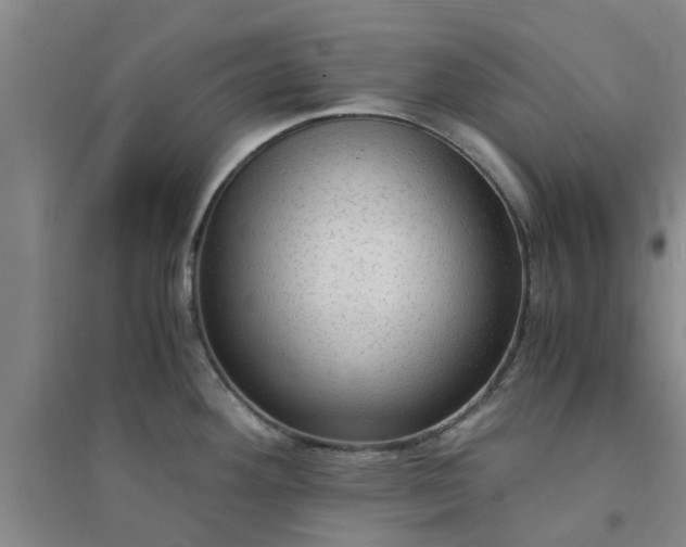 X0000094321292200711091333