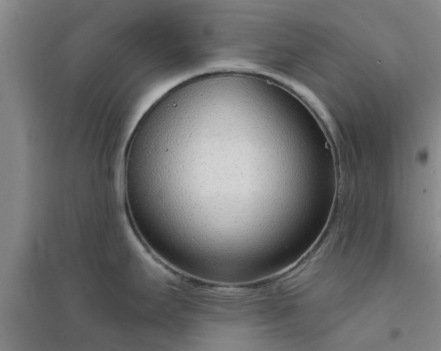X0000094321295200711091333