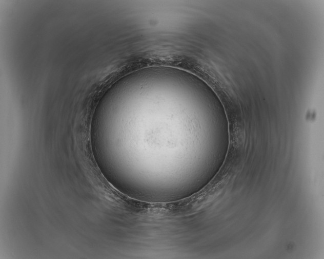 X0000094321297200711091332