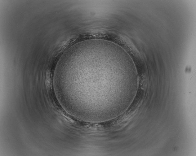 X0000094321298200711091332