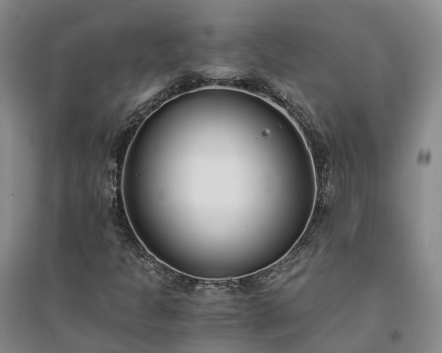 X0000094321301200711091332