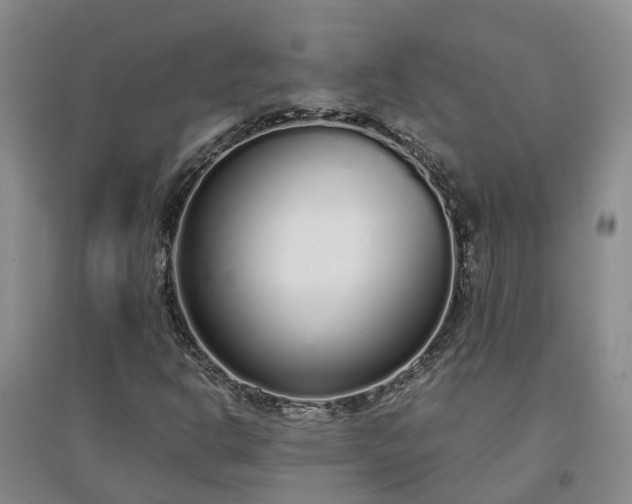 X0000094321302200711091332