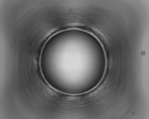 X0000094321305200711091332