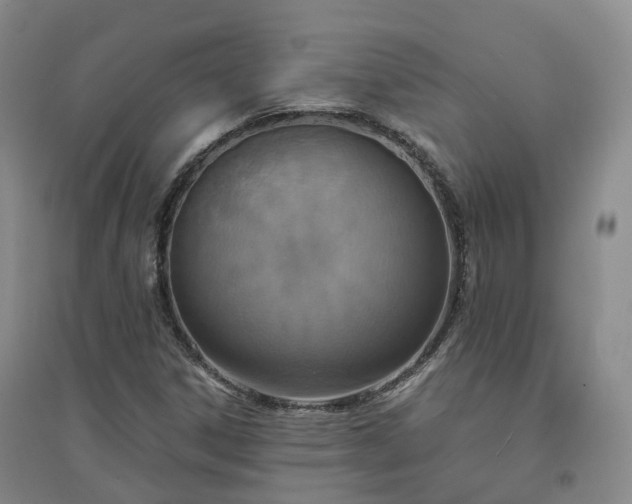 X0000094321306200711091332