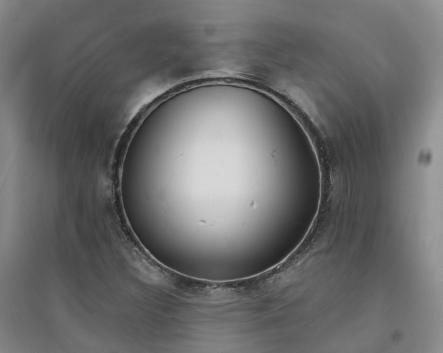 X0000094321308200711091332