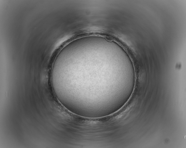 X0000094321309200711091332