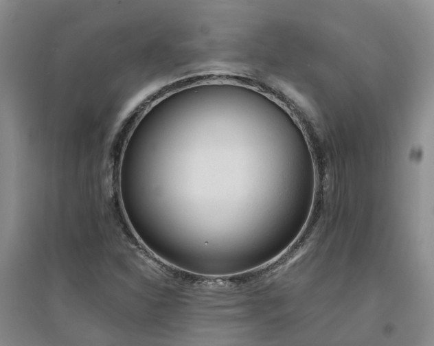 X0000094321310200711091332