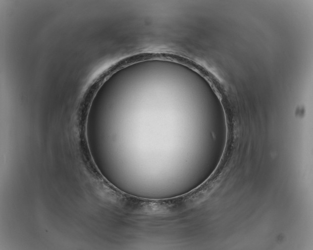 X0000094321311200711091332