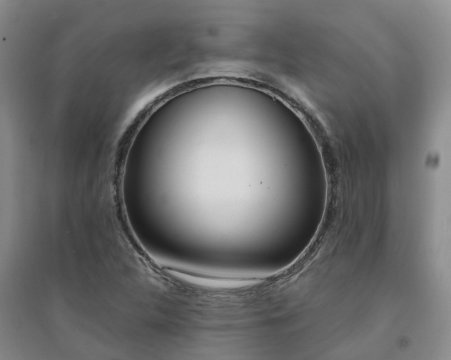 X0000094321312200711091332