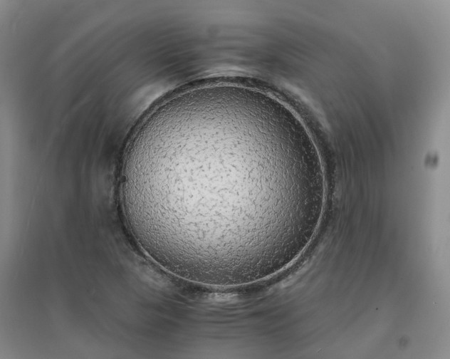 X0000094321313200711091332