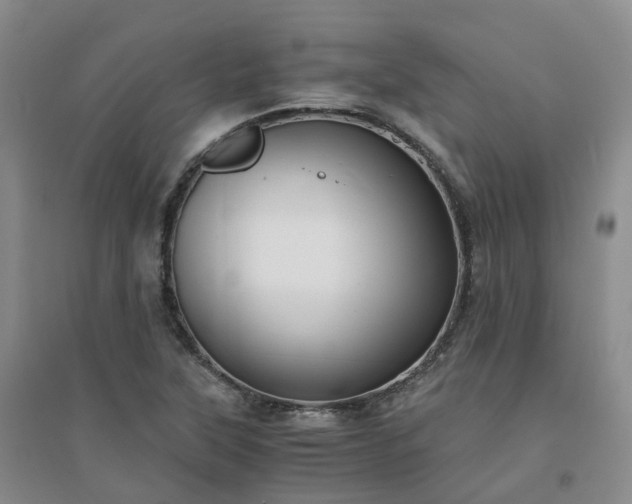 X0000094321315200711091332