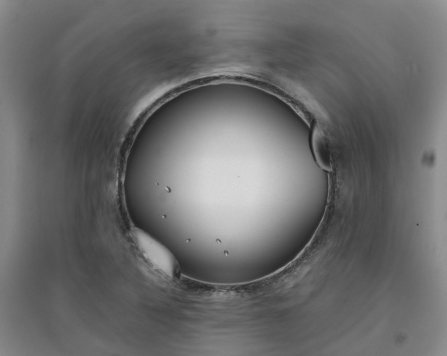 X0000094321316200711091332