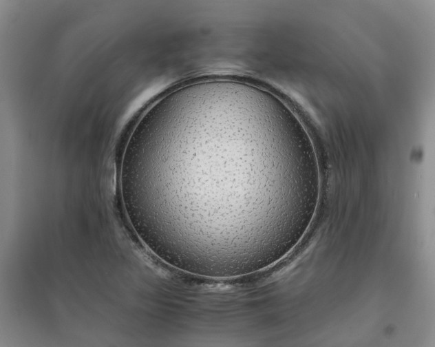 X0000094321317200711091332