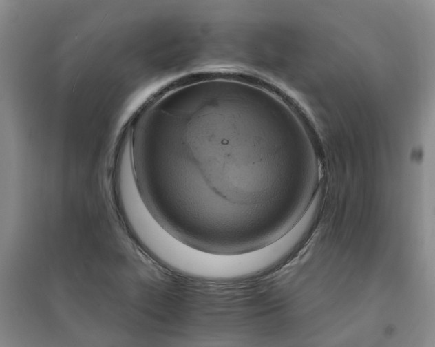 X0000094321319200711091332